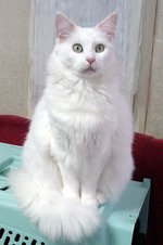 ���̂����A�т������႟�E�E�E�H�H