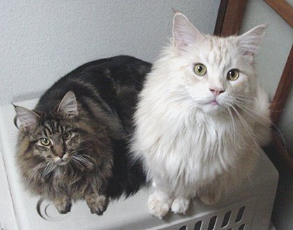 �W�����ɂȂ���Baker�A�ѐ������ǂ��đ̊i��DUNE�ƕ��т܂���