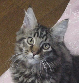 �ڂ��L���L�������āA���˂���