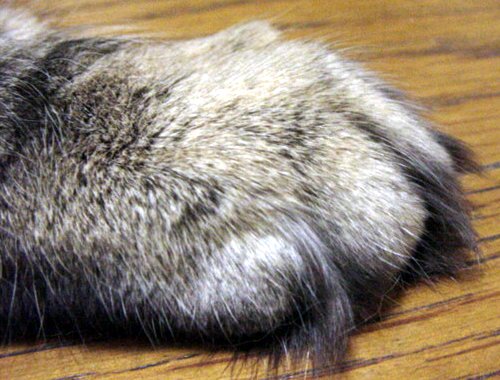 Baker�̂ł�������A����ł��ꂳ��̎�����~���~���Ă��ꂽ�񂾂��