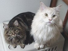 �����傫���͕ς��Ȃ����B