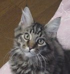 �ȂɂȂɁH����������H