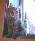 �܂��т͒Z�����ǂ��B�B�B