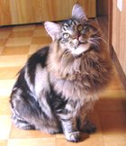 ����ȂɃt�T�t�T�ɂȂ���������I