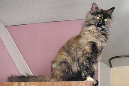 �L������DUNE������Ɏ��āA�w�������ł��B