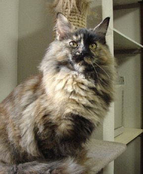 ���̍��͖ѐ������ǂ������̂ɁA���́E�E�E