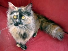 �L���������A�т�����I�����I