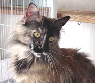 �����͂��@�������ˁ�