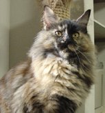 �����́B�B�B����炾