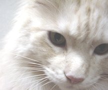 ���̊炪�B�B�B���܂��I