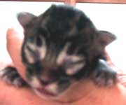 �O�j�F�u���E���E�^�r�[