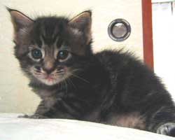 �O�j�F�u���E���E�^�r�[