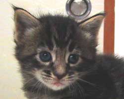 �O�j�F�u���E���E�^�r�[