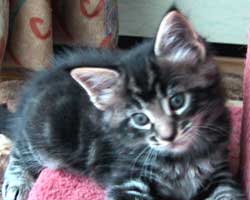 �O�j�F�u���E���E�^�r�[