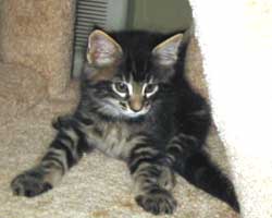 �O�j�F�u���E���E�^�r�[