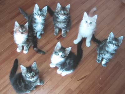 �S���W��