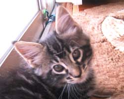 �O�j�F�u���E���E�^�r�[