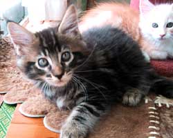 �O�j�F�u���E���E�^�r�[