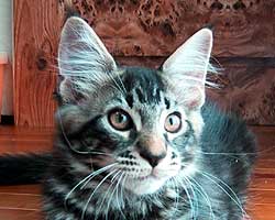 �O�j�F�u���E���E�^�r�[