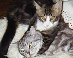 �l�j�F�u���E���E�^�r�[���z���C�g