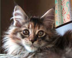 �}�}��ꡂ����