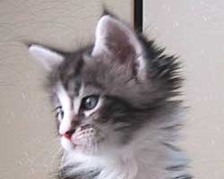 �p�p�̂�т񂻂�N�A����S�R���ڂ̍�