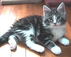 �p�p�̂�т񂻂�N�A����S�X���ڂ̍�