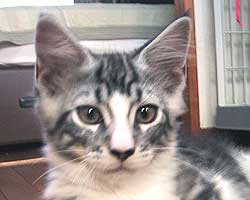 �p�p�̂�т񂻂�N