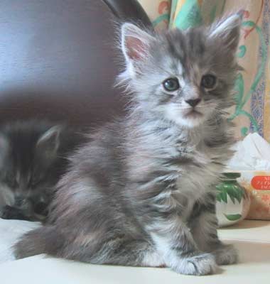 �����Ԃ������肵�Ă����˂���