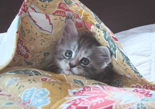 ���z�c��D����