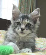 壁|����W�O����