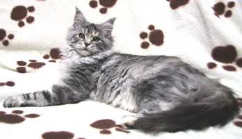 壁|����S����