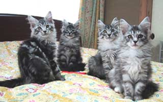 �Z�퐨�����|��R����