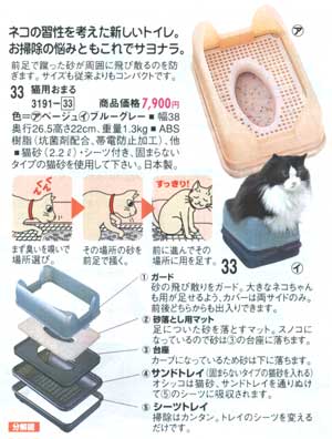 �f�B�m�X�H�~��p375