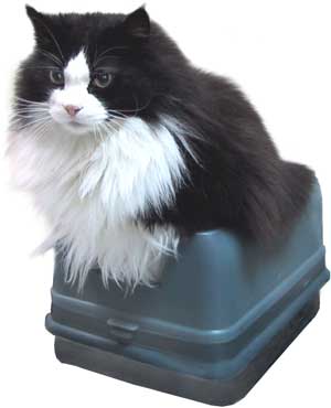 �L���b�g�����E���f��TOTORO