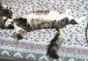 �������A�Q���������I