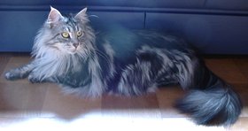 �̂�т�߂������Ă̌ߌ�