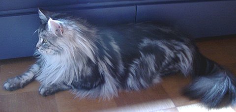 ���������炾�ɂ႟�B�B�B