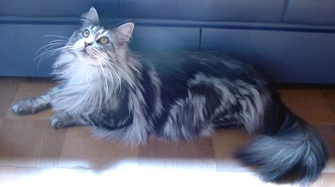 ���̊p�x�A���g����́I