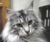 �j�炩����H