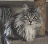 �L���b�g�c���[�̒�ʒu