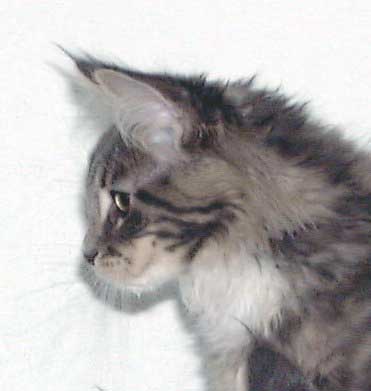 ����V�T��