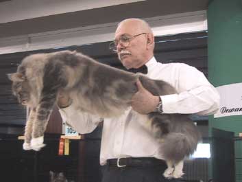 2002/7/21TICA�̃V���[