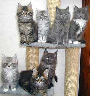 ����P�O�T����miffy�����ƌZ�킽��