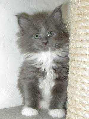 ����U�T������miffy�����