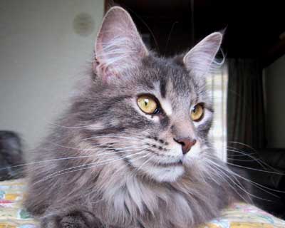 ���R�����