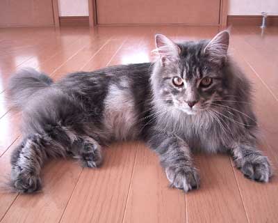 ���R�����