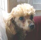 �ނ������A�@���������I