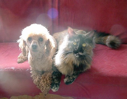 ������Q�C�ł��񂸂ق��ꂸ�E�E�E�ǂ�������񂾂��A�ɂ�񂾂��i�΁j