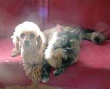 �L���������͈�Ԃ̂��F�B��